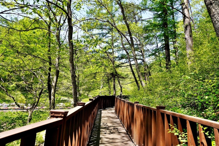 계룡 가볼만한곳 베스트10