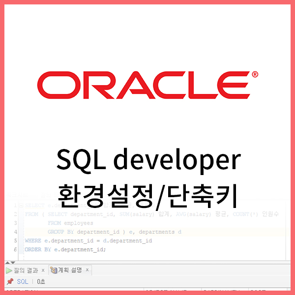 [Oracle] SQL developer 유용한 환경설정/단축키