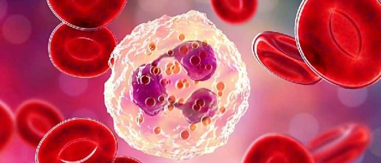 유자차 효능 - 항암효과