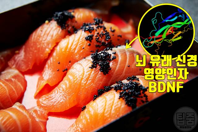 뇌졸중 회복 음식 뇌기능 회복 기간 단계 뇌졸중음식 연어 epa