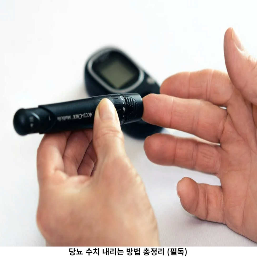 규칙적인 운동