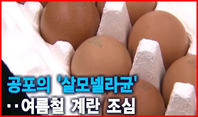 살모넬라균 예방 방법