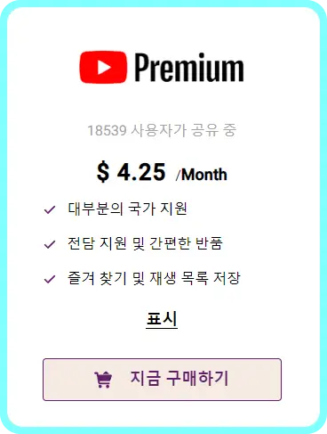 고잉버스-유튜브-프리미엄-소개