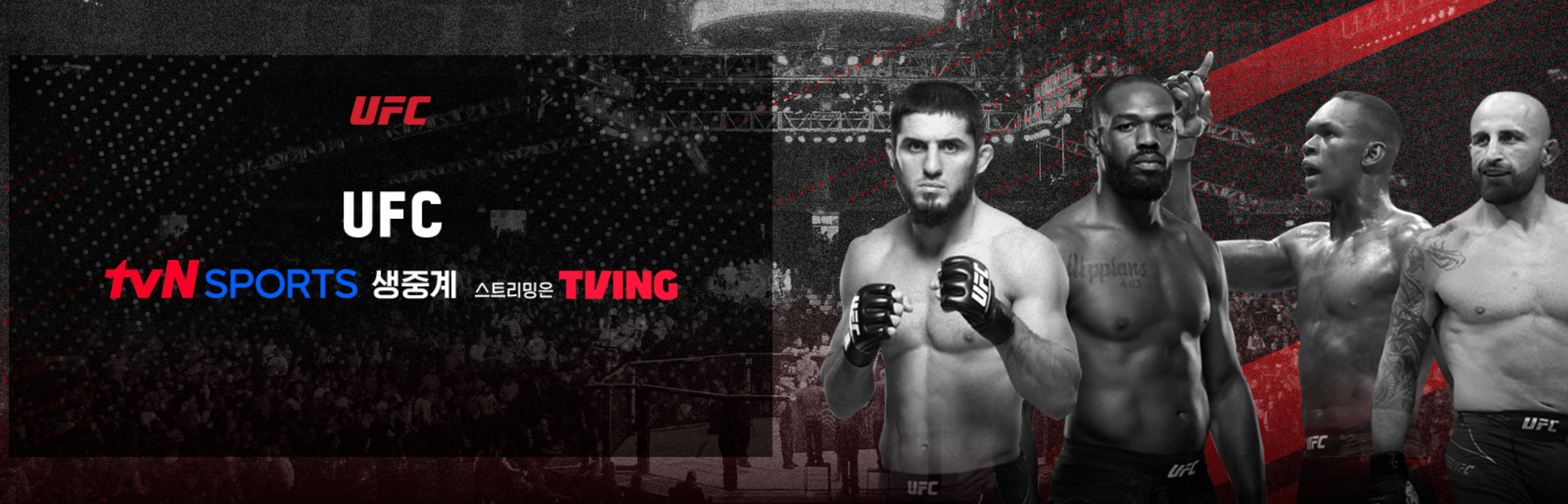 UFC 중계 보기