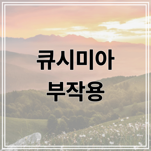 큐시미아 부작용