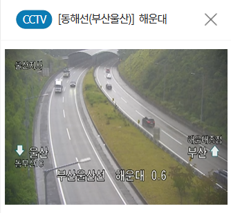 부산 날씨 CCTV