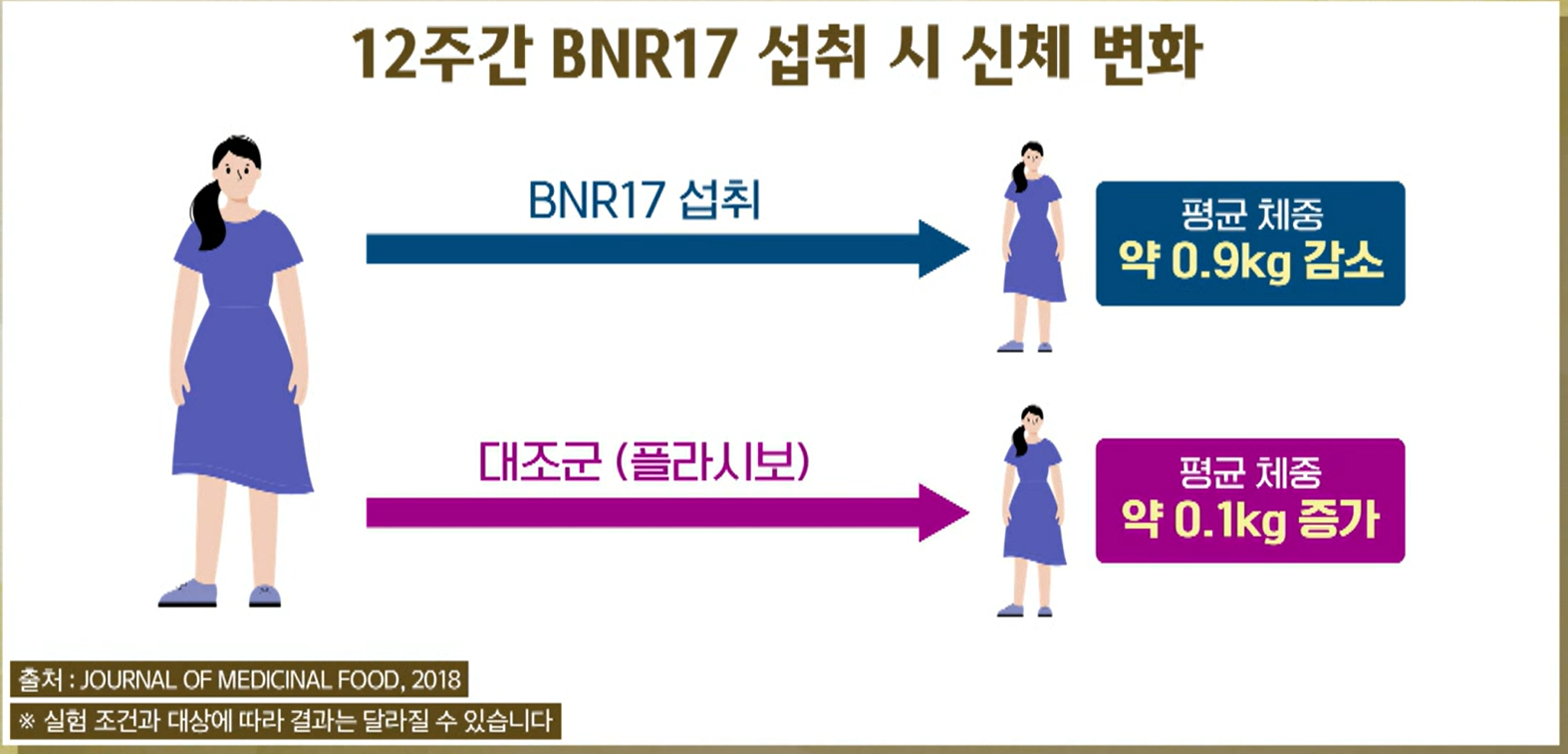 BNR17유산균 효능