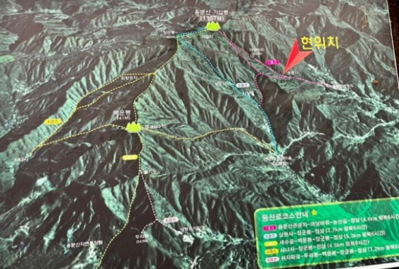 &amp;#39;피톤치드&amp;#39; 걷기좋은 휴양림 BEST 8곳