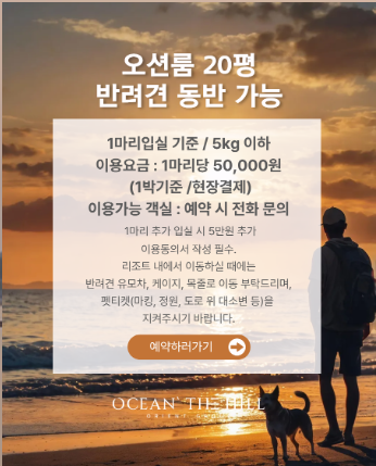 돌싱N모솔 촬영지