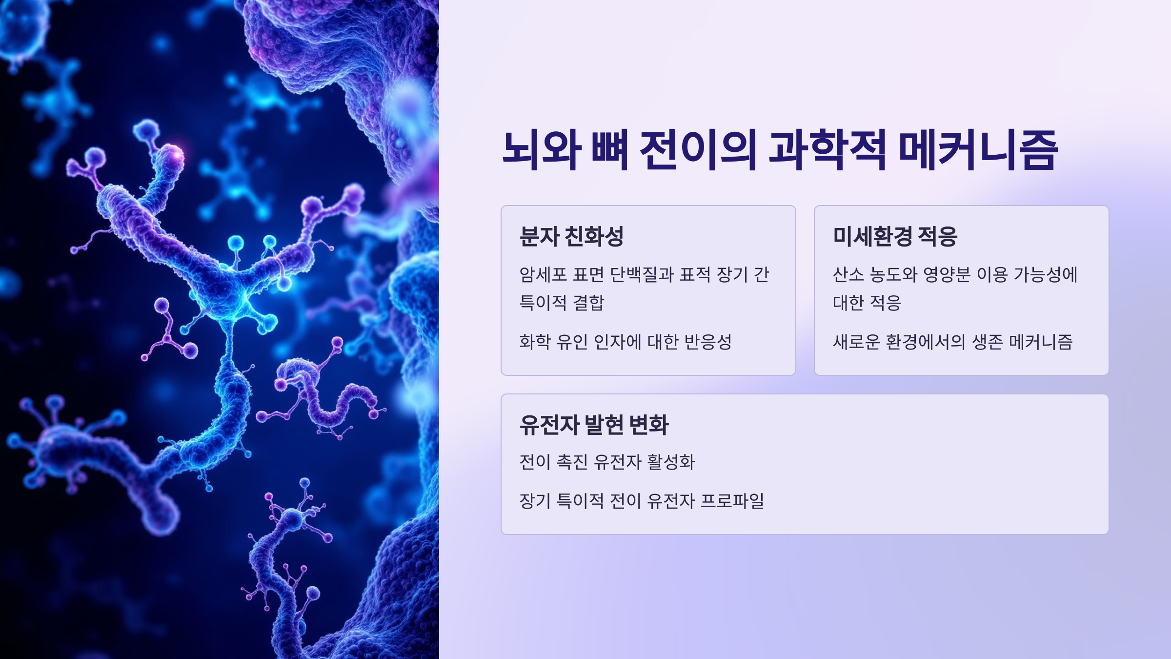 메커니즘