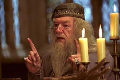 해리포터 덤블도어 역 마이클 갬본