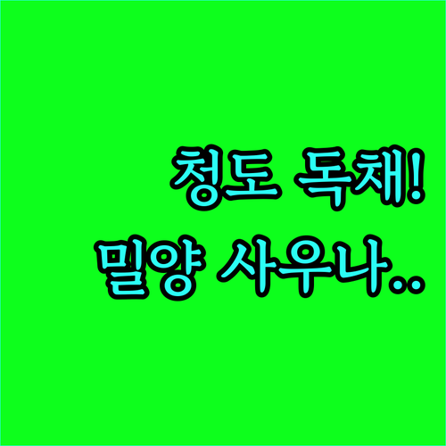 청도 독채 펜션부터 밀양 사우나 호텔..