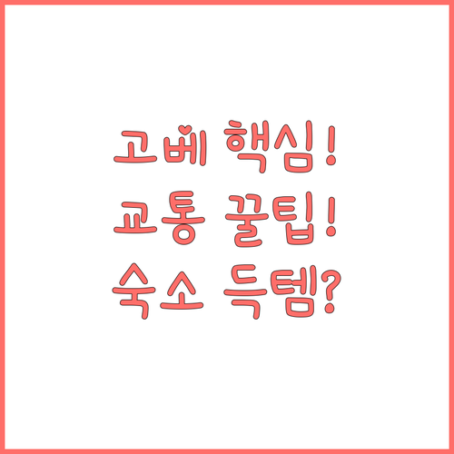 고베 여행 필수 교통 모노레일 포트 ..