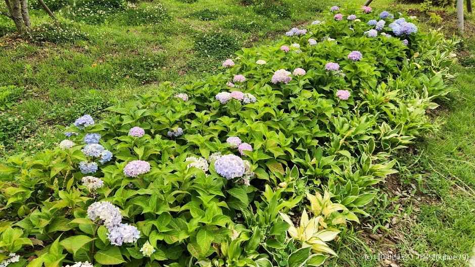 광명 가볼만한곳 베스트10