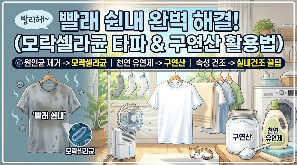 여름철 빨래 쉰내제거 썸네일사진
