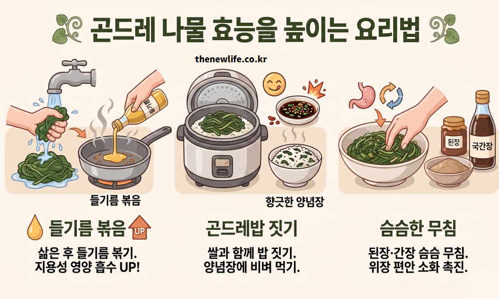 곤드레 나물 효능 높이는 요리법