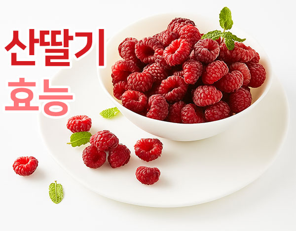 산딸기 효능