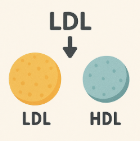 콜레스테롤 낮추는 음식