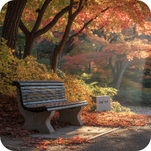 서울&middot;수도권 당일치기 단풍 여행 명소 이미지