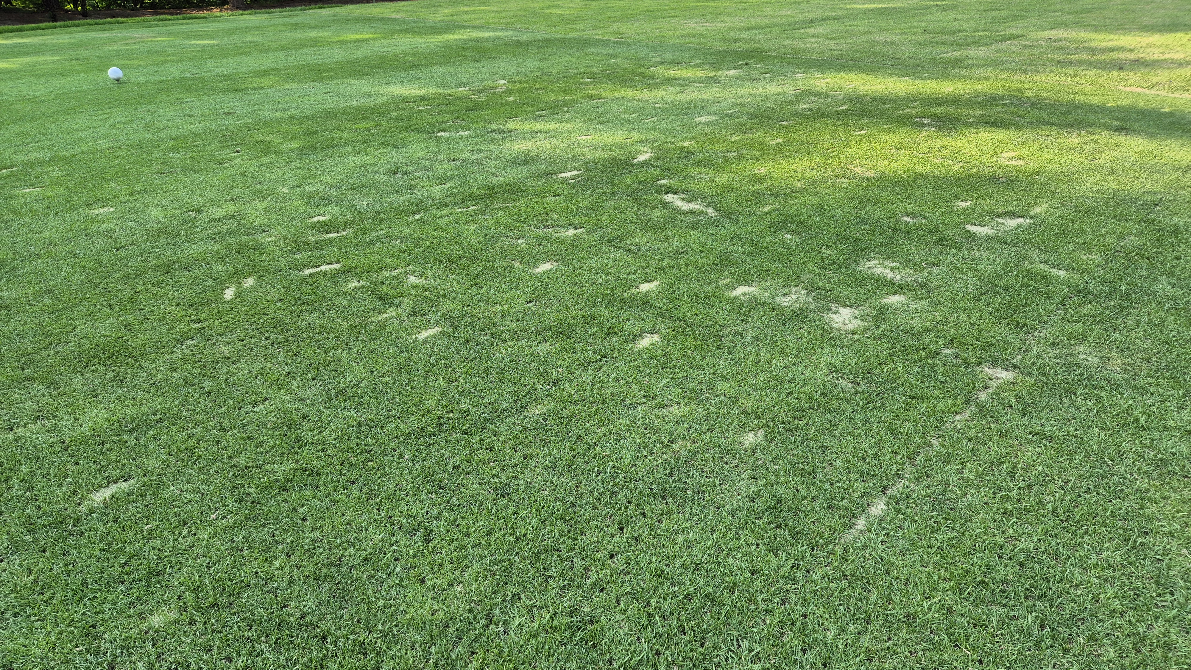 이포cc 라운드 후기