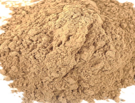 분말 맥문동 사진입니다.