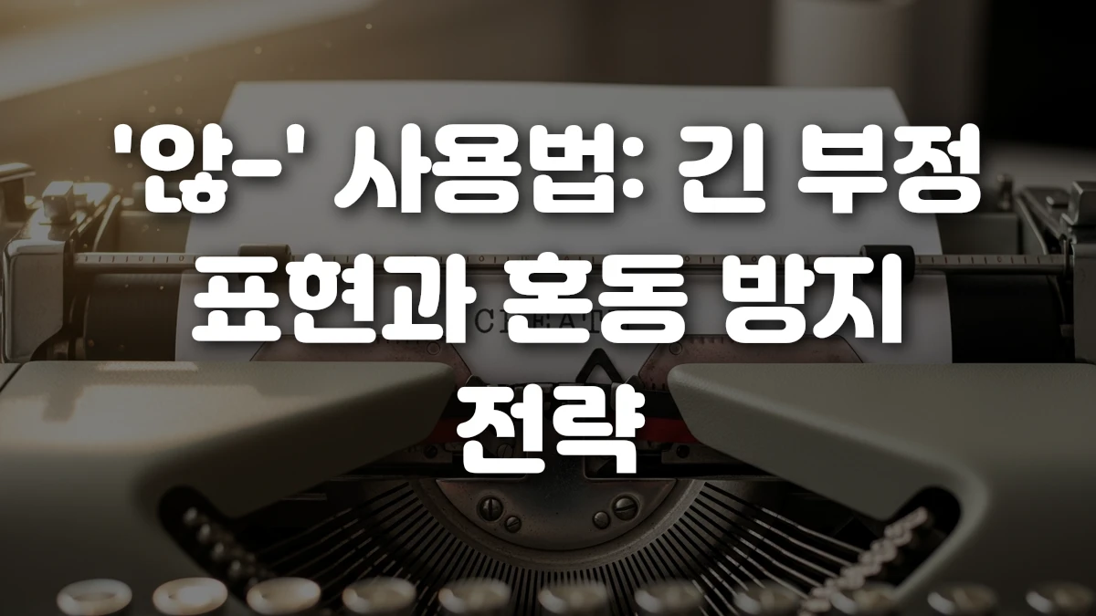 않 사용법 긴 부정 표현과 혼동 방지 전략