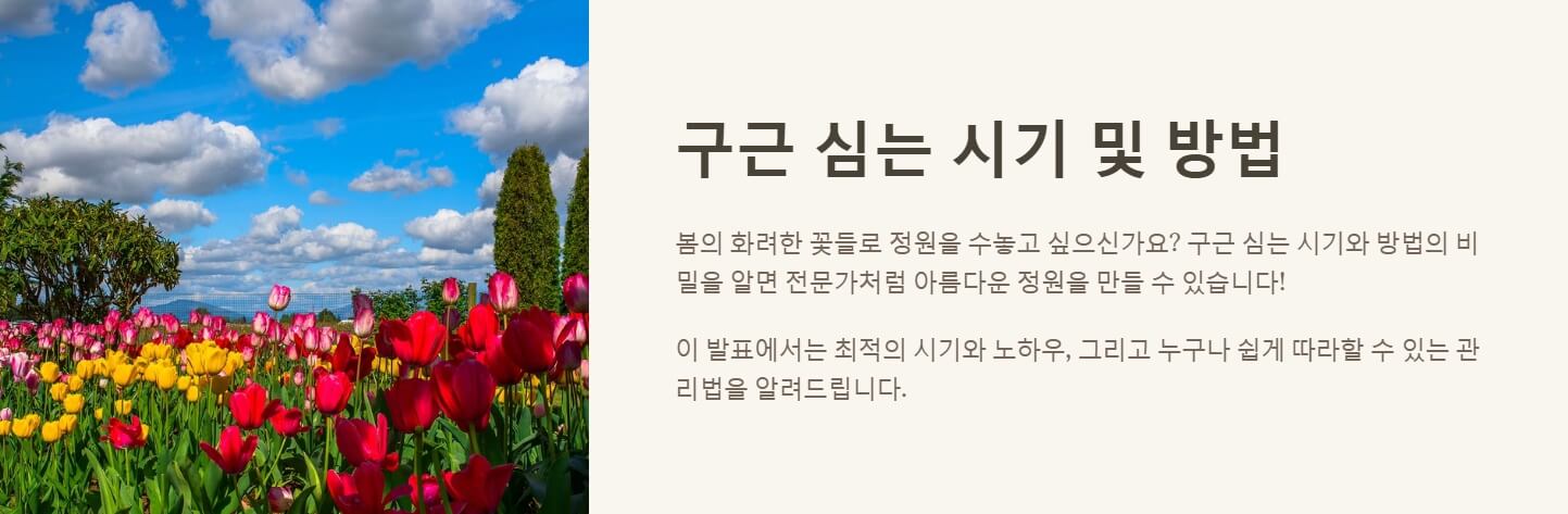 구근 심는 시기 및 방법