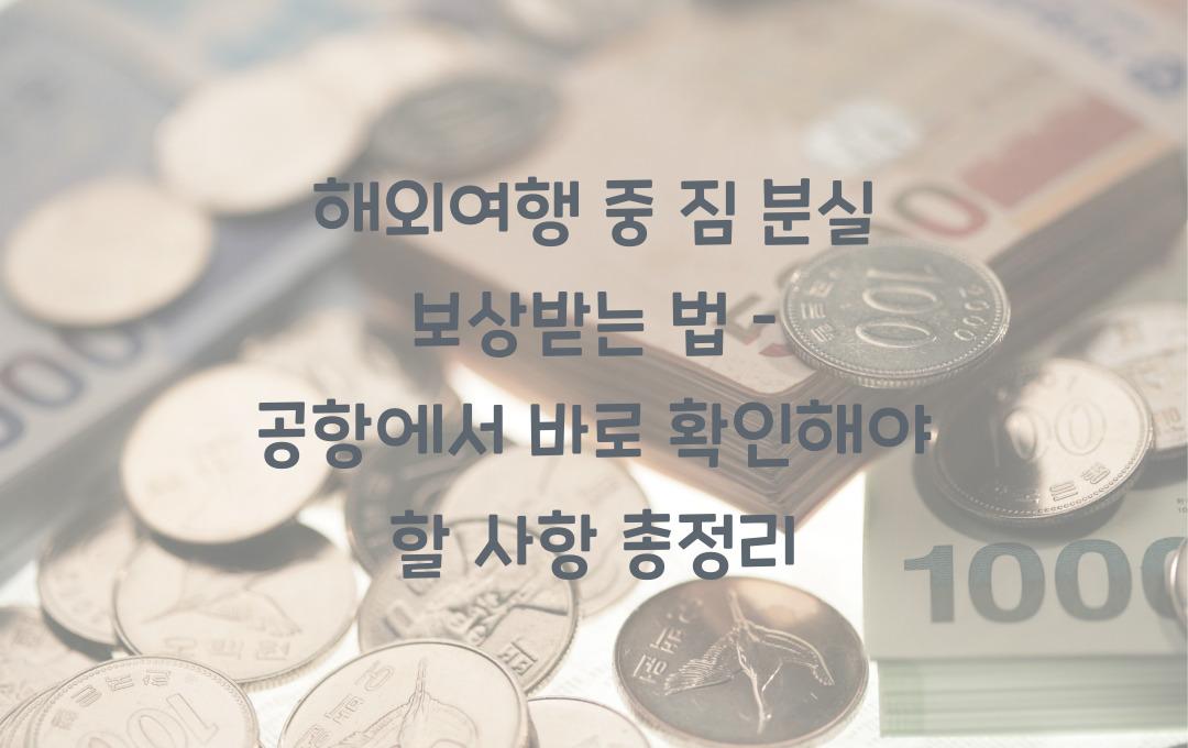 해외여행 중 짐 분실 보상받는 법 – 공항에서 해야 할 일 정리!