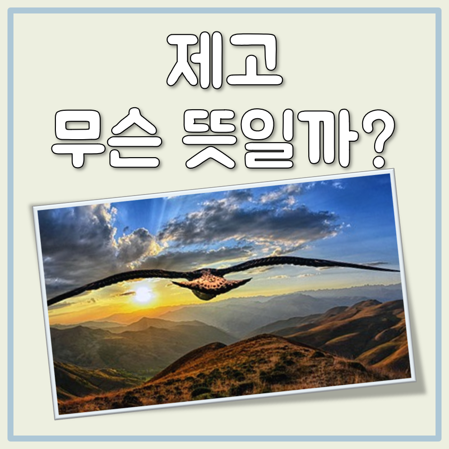 제고 뜻 대표 이미지