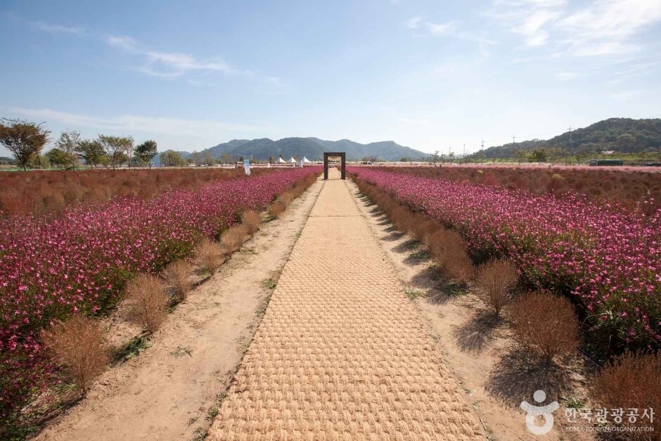 의령 가볼만한곳 베스트 10