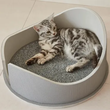 &amp;quot;고양이
