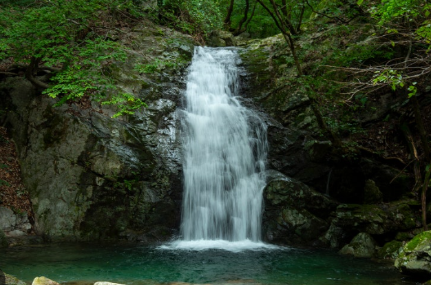 계룡산 갑사 계곡: 역사와 자연이 어우러진 힐링 명소