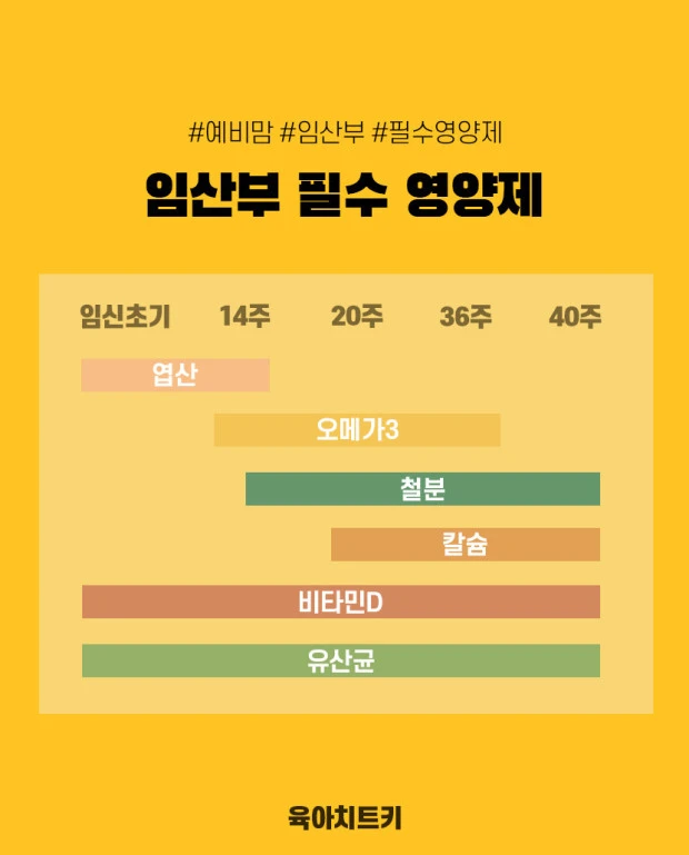 임신 주기별 필수 영양소/ 출처 - 네이버포스트