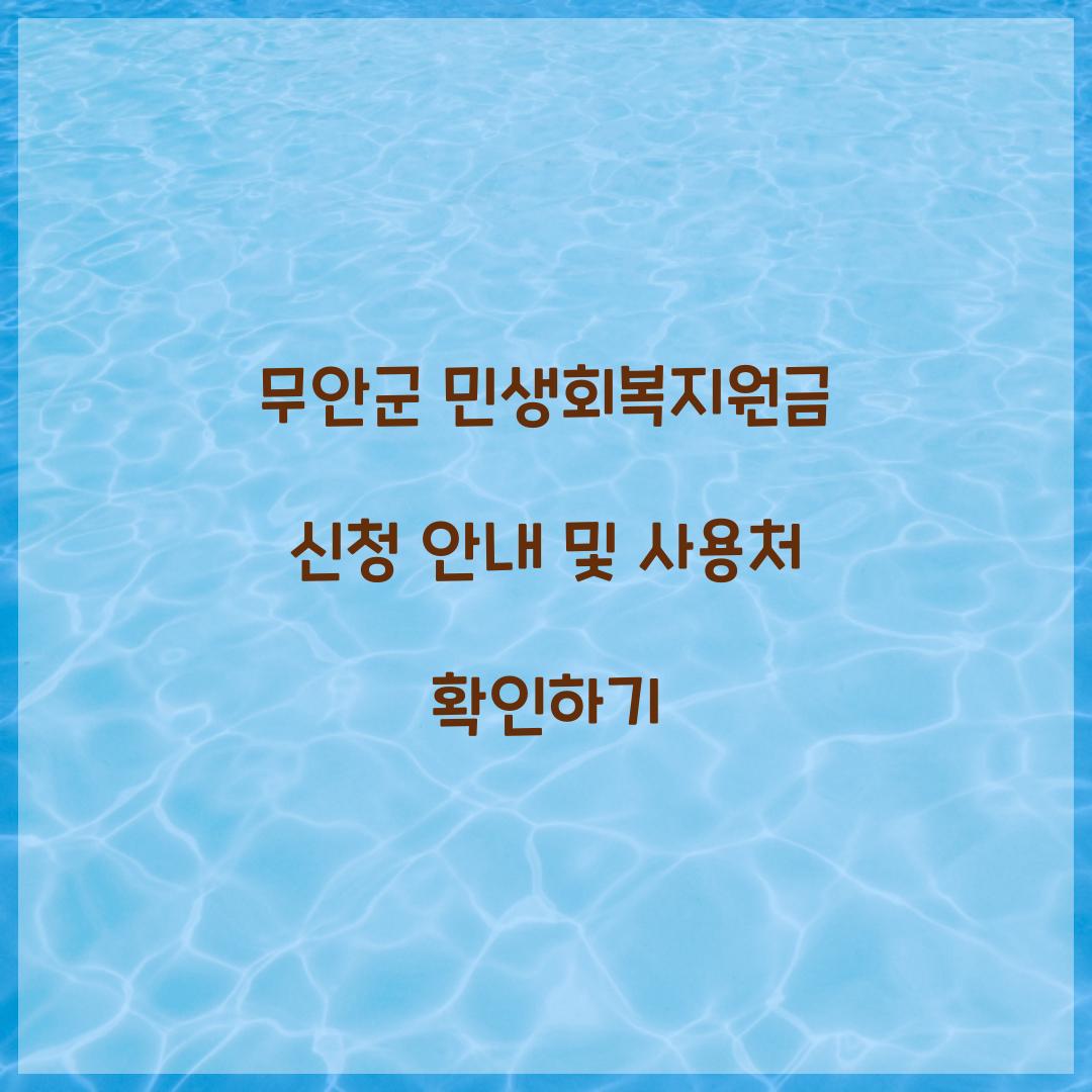 무안군 민생회복지원금