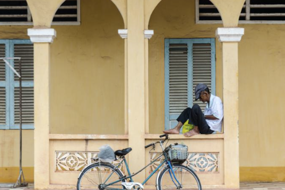 서울런 평생학습포털