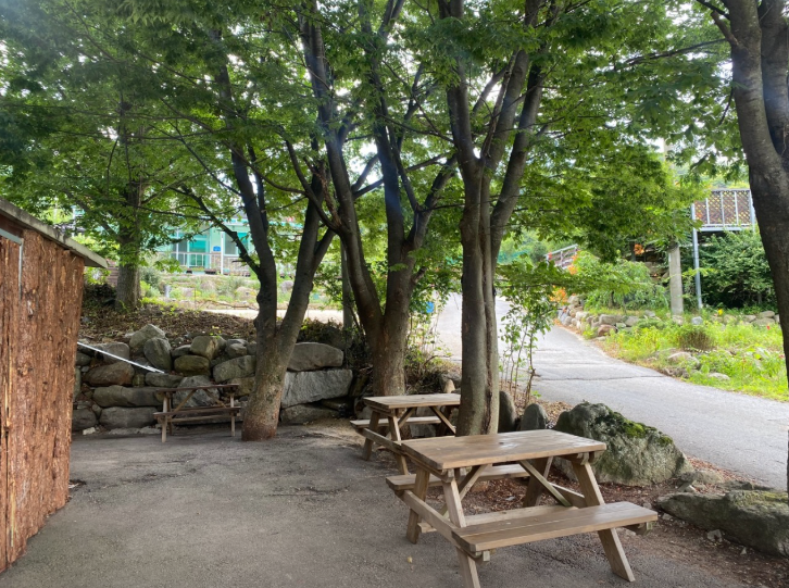 6시내고향 토종닭 참나무 솥뚜껑닭볶음탕 전북 무주 이영자 추천 무주농원