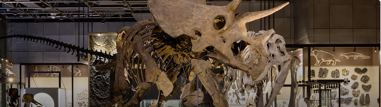 초등학교 여름방학 체험 프로그램 추천