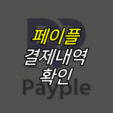 페이플-로고-위에-페이플-결제내역-확인-글자가-적혀있다.