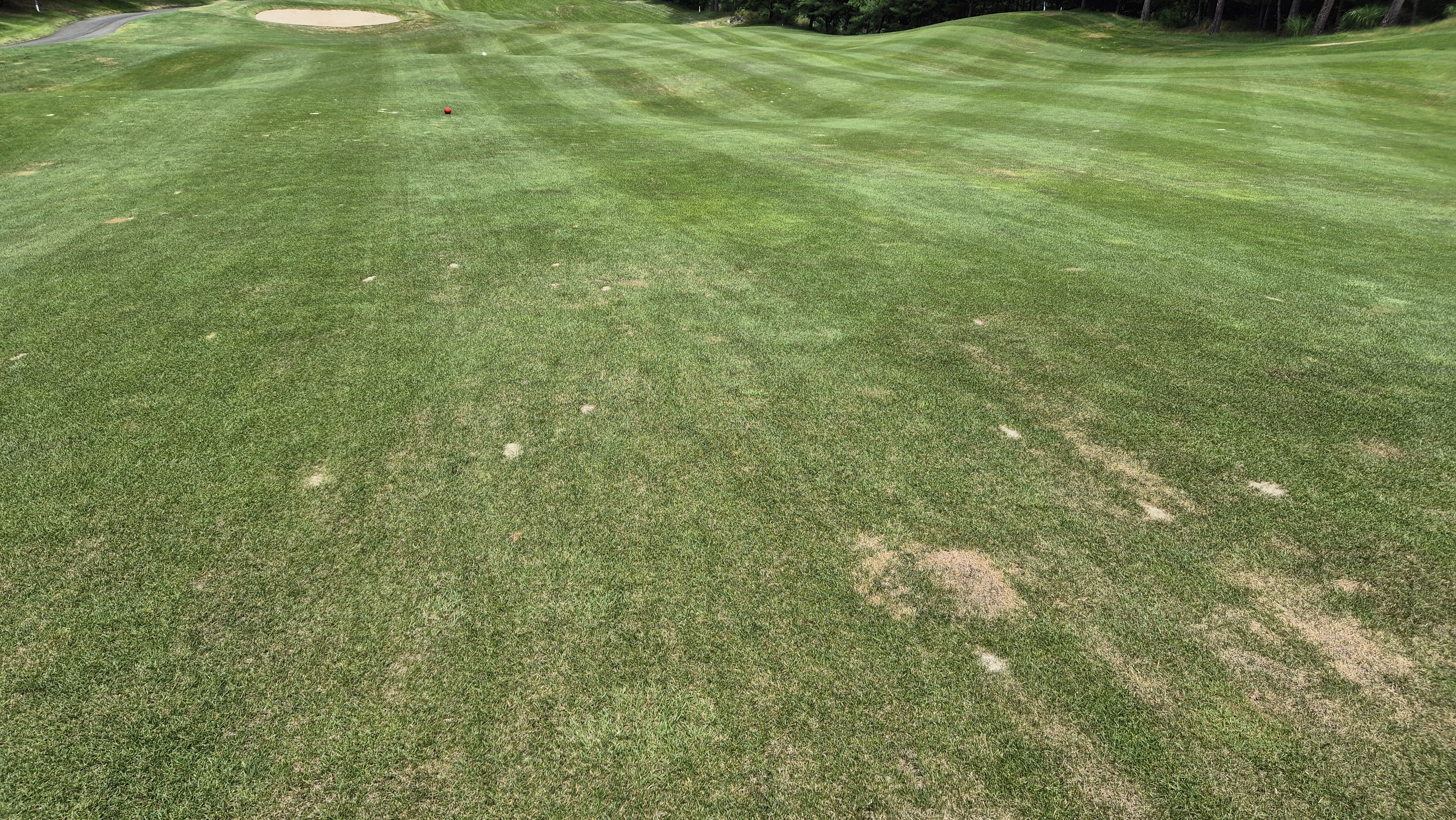 센테리움cc 스코틀랜드-웨일즈 코스 라운드 후기