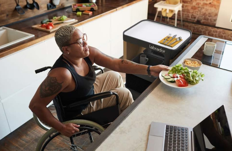 강아지 같은 보기 드문 가정용 자율이동로봇(AMR) VIDEO: Labrador Systems building AMRs for home assistance