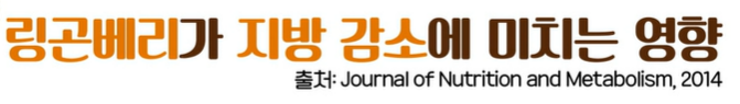 링곤베리 효능