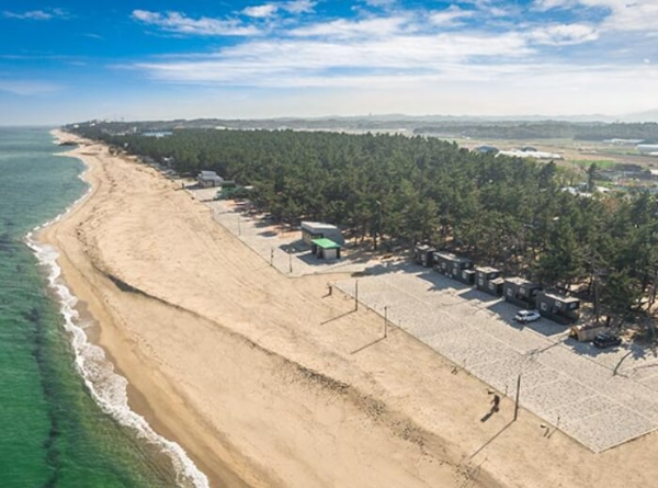 강릉 연곡 솔향기캠핑장 전경