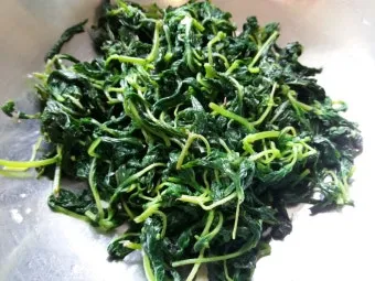 깨순나물 볶음 맛있게 만드는 법 및 양념 비율 팁 안내_3