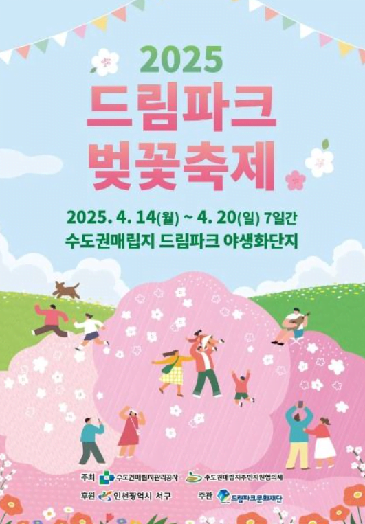 2025 드림파크 벚꽃축제 완전정복