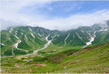 동백패스 환급금 사용방법
