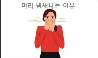 머리 냄새나는 이유