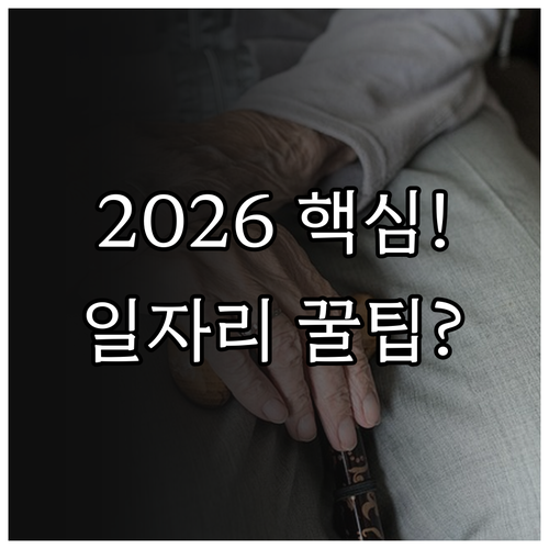 노인일자리 2026 신청 방법 유형별..