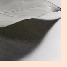 입술 포진 빨리낫는법