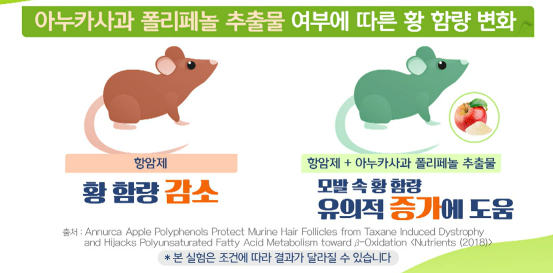 아누카 사과 분말