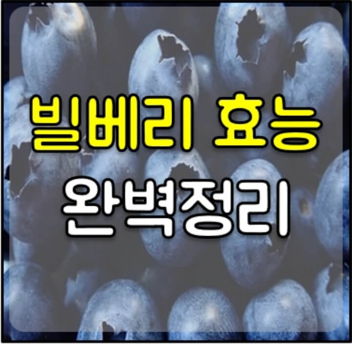 빌베리-효능-썸네일